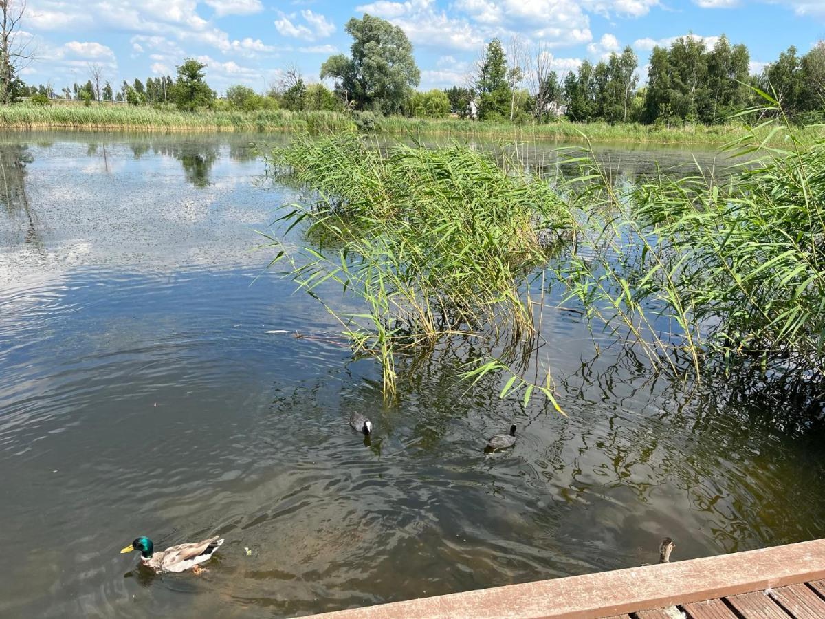 Sun River Apartament Илава Экстерьер фото